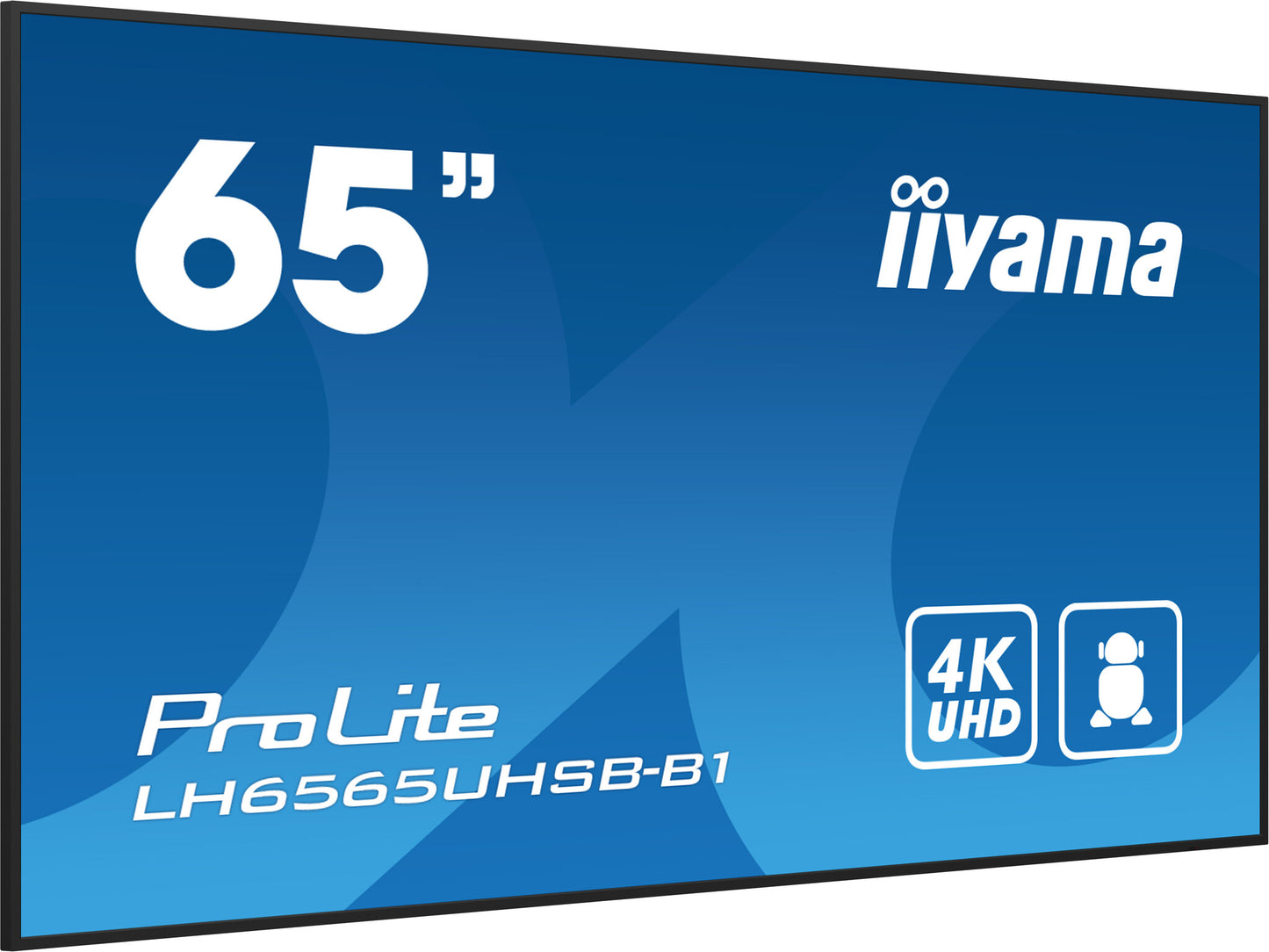 iiyama ProLite