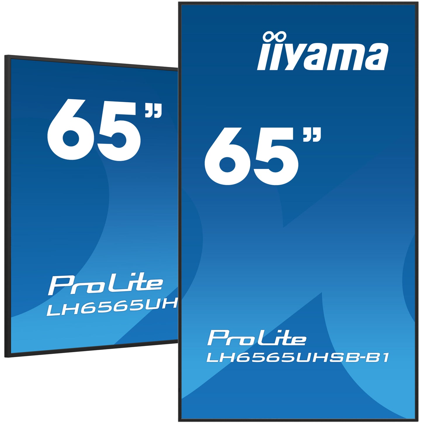 iiyama ProLite