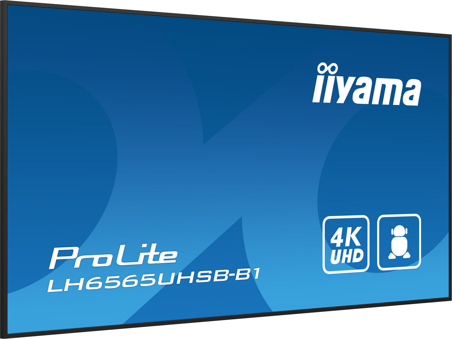 iiyama ProLite