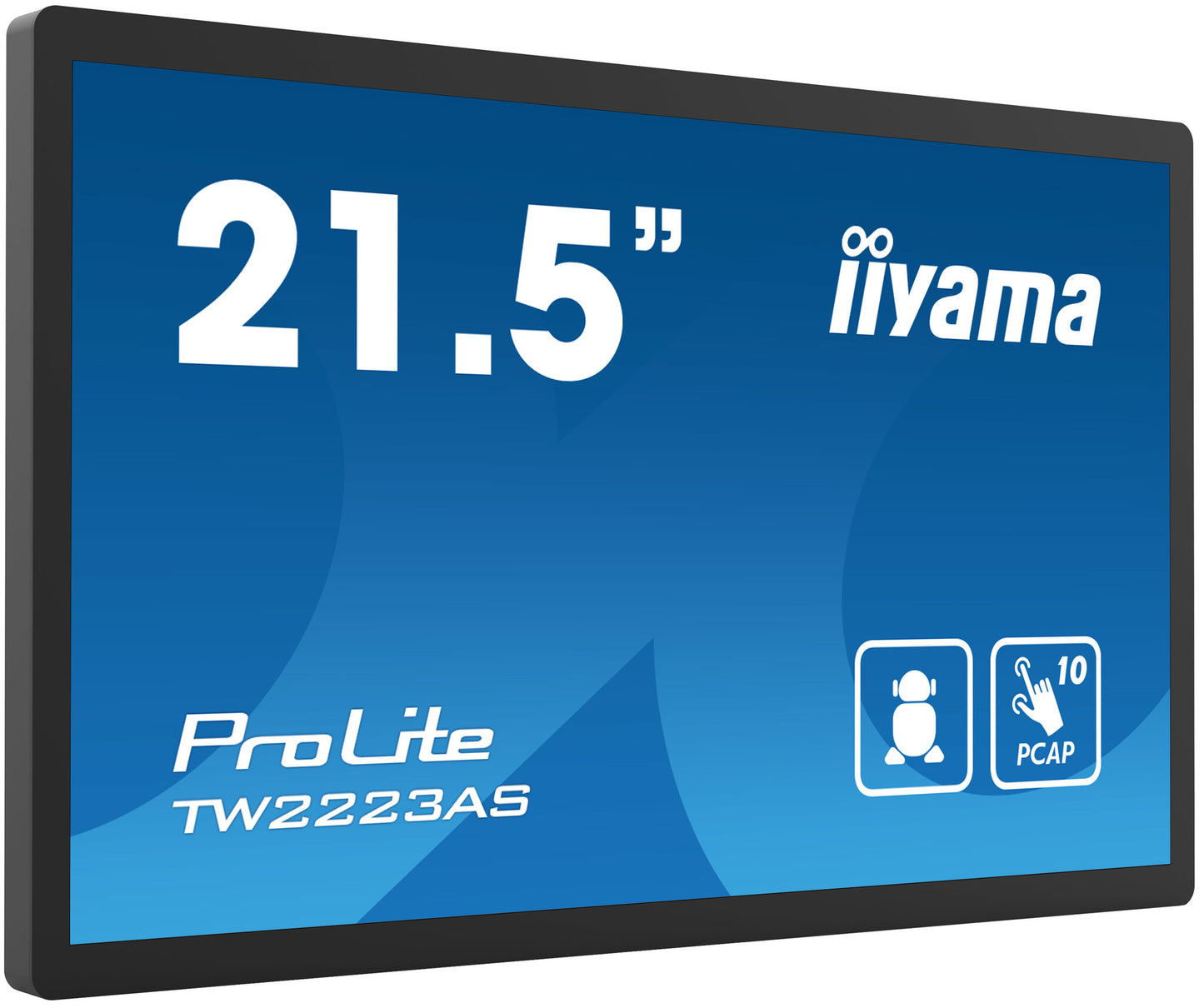 iiyama TW2223AS-B2