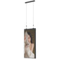 55" Double-sided Hanging Display